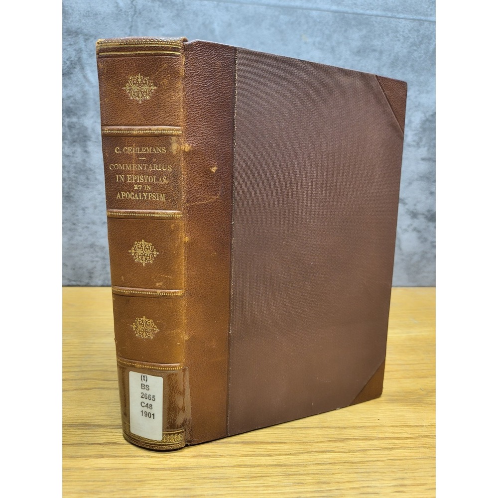 Commentarius in Epistolas S. Pauli 1901
